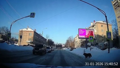 ��������������� ������ �� ������������� �������� ��������, ��� ��������� ���������� ������