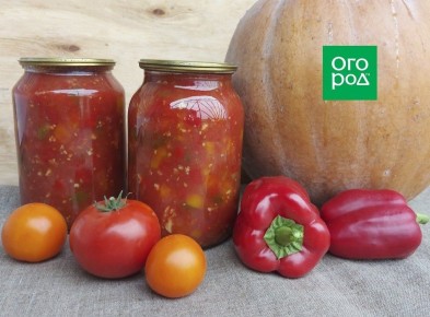 ��� ���������� ���� � ������: ������� ������� ������� �� ����