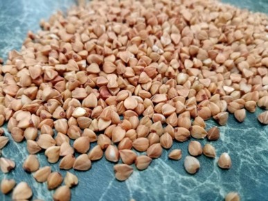 ��� ������ ������ � ��������� ����: ������� ������ �������� ���������� �� ������ �� �����