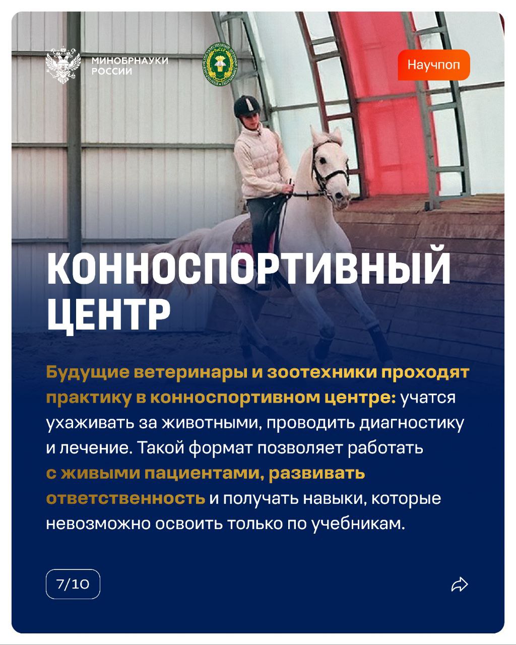 Что, если ваша следующая пара пройдет не в аудитории, а в ресторане, на судне или криминалистическом полигоне? Что, если ваша следующая пара пройдет не в аудитории, а в ресторане, на судне или криминалистическом полигоне?