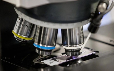 ������� � ����� ����:. ������ ������� � ������ �������� �������� � ������������� �������� � �����������