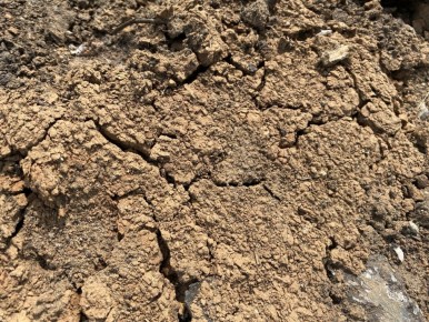 ��� ����������� ��������� ����� �� ����� �������