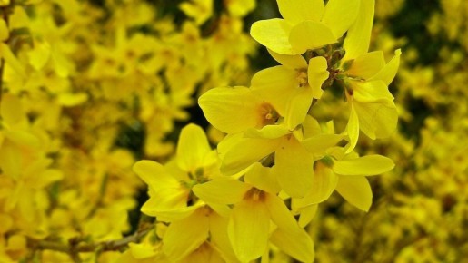 ��������: ��� �������� ��� ��� ������ �������