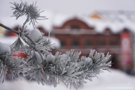 ��� �������������. ��������� �������� ������ �� �������������� ������������ ������� �� 7-12�C ���� ������������� ����� ���������� �� 6 �������