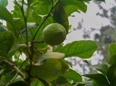 ������� ���������� ���� � ������ � ��������� ��� �������