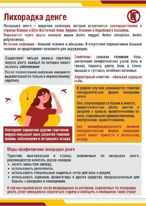 Воскресенский территориальный отдел Управления Роспотребнадзора по Московской области информирует о профилактике лихорадки Денге при выезде в туристические поездки