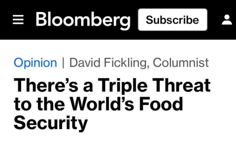 ���������� ����������������� ������������ ��� ������� ������ � Bloomberg