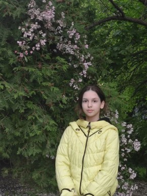 ���������� ������ ���������� ���������� ������� �� ������������� ��������� ����������