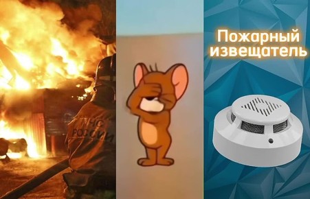 �����������, ��� ������ �������������