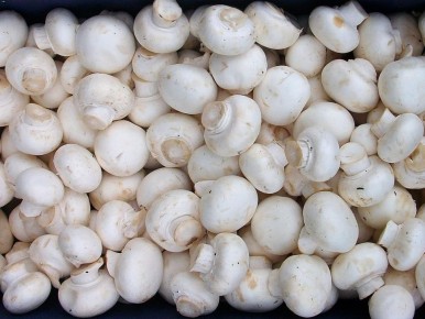 ������ ��� ����������� �����������: ��� �������� �������������