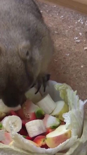 �������� ����� ����� � ������ ����������� ������, �� �������� �����