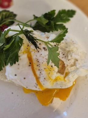 ����� ���������� ���� �����