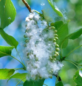 ��������� ���: ��������� ������ ������� ������