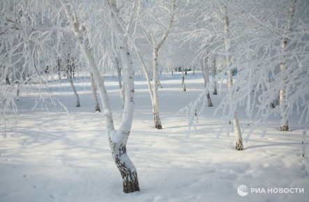 ������ �� 13 �������� ���� ����� ������������ � ������ �� �������, ������������� ��������