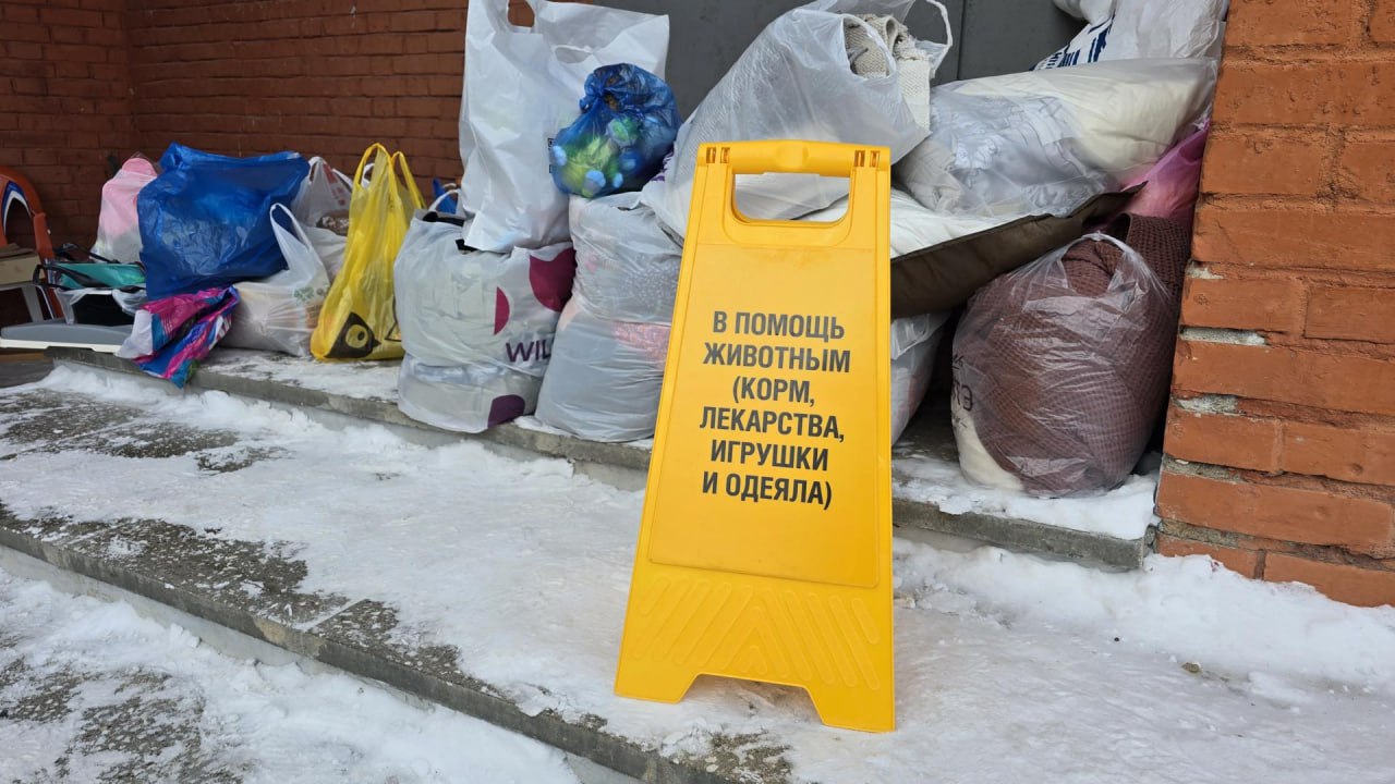 У Молодёжного центра «Русь» в прошлые выходные было очень оживлённо - коломенцы открыли новый экологический сезон, организовав сбор вторсырья У Молодёжного центра «Русь» в прошлые выходные было очень оживлённо - коломенцы открыли новый экологический сезон, организовав сбор вторсырья