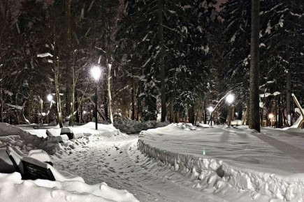 ������ ����: ������ ������ � ����������