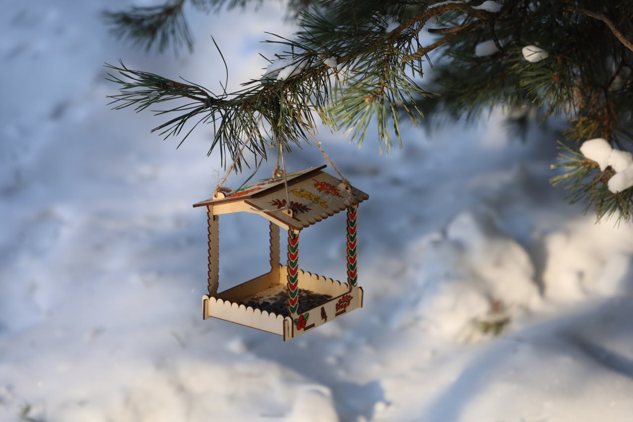 В Серпухове состоялась традиционная всероссийская акция «Покорми птиц зимой» В Серпухове состоялась традиционная всероссийская акция «Покорми птиц зимой»