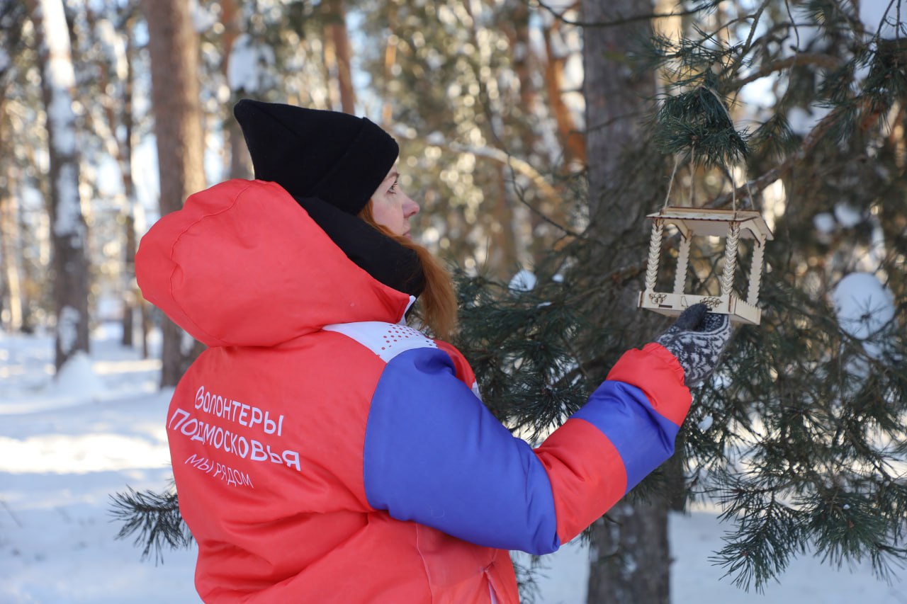 В Серпухове состоялась традиционная всероссийская акция «Покорми птиц зимой» В Серпухове состоялась традиционная всероссийская акция «Покорми птиц зимой»
