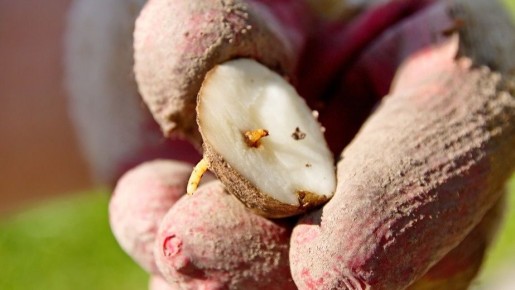 ����������� ��������� �����: ��� �������� ������� �������� ������ �� ����������