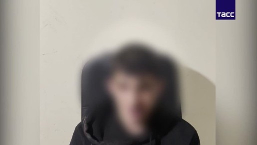 В Москве задержан иностранный гражданин, готовивший теракт на объекте энергетики, — ФСБ