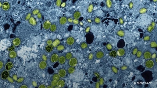 ����������� ��� � ����� �������� � ��������������, � ���������, �� ���� � �� ������� �������, �������� ��������� ���� �������, ������� ���� ��������� ������ �������