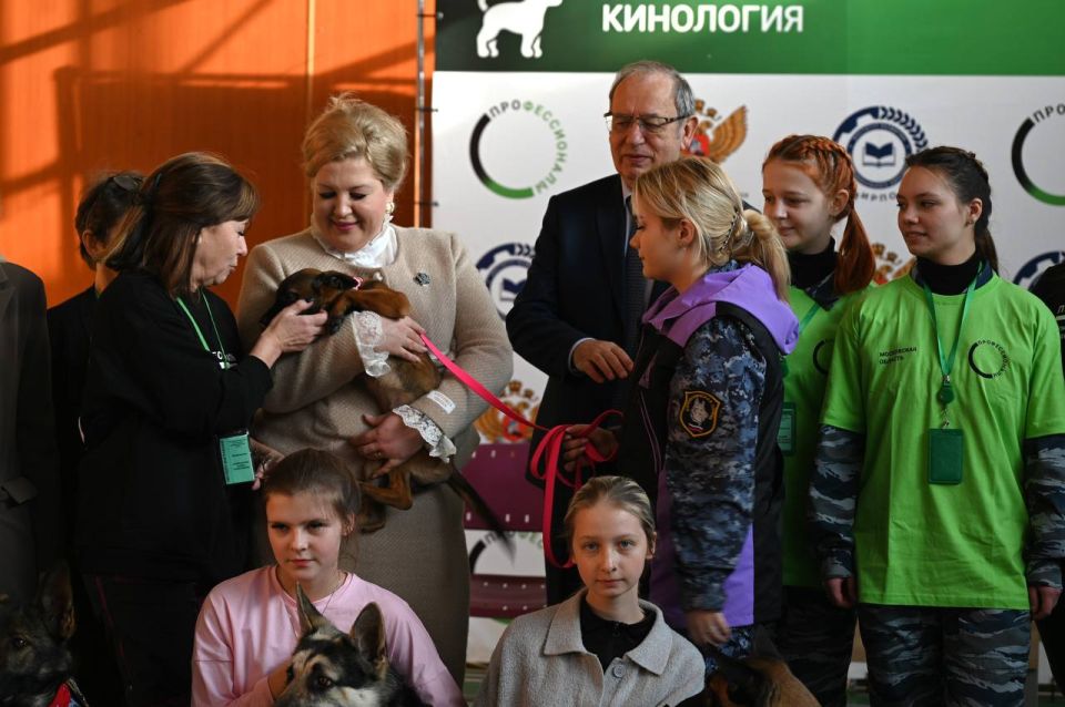 ���������� ������� � ������ ��� ��������� �� ����� �������� ������������ ���� ���������� ��������������-2026� �� ����������� �����������