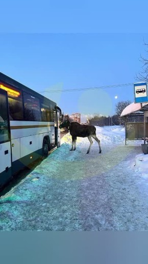 ������������ ���� � �� ������ ������������������ ��������, �� � ������ ��������� ���������