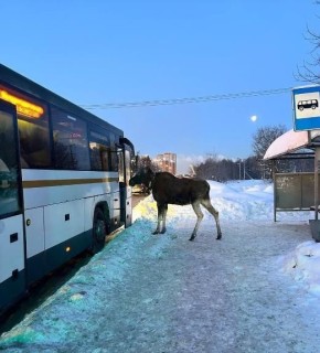 ������� ��������. ���� ����� �� ���� � ����, ����������������, �� ��������