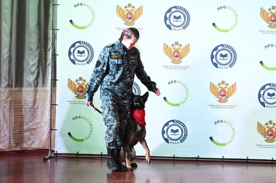 ���������� ������� � ������ ��� ��������� �� ����� �������� ������������ ���� ���������� ��������������-2026� �� ����������� �����������