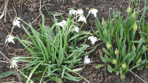 ��� �������� ������������� � �������� �������: ���� �������� �������� ��� ������ ����