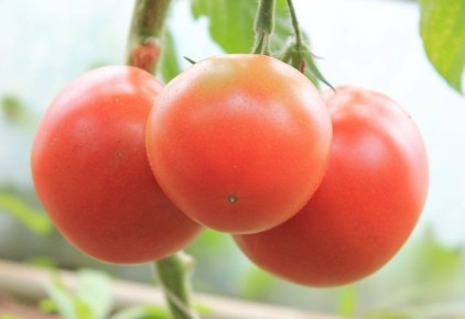 ����� �����: ������ ������ � ������� ������ ��� ��������