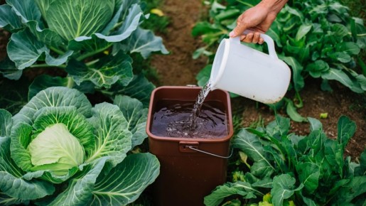 ��� ������� ������� �� ���������� ����: ������� ��������� ���������