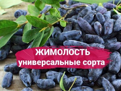 ���������: �����, ������� ����� ������� ��������