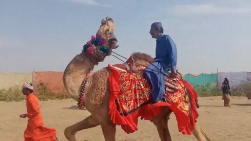 � ���������� ������ �������� ������ �������� ��������� � ����� ������� ������� ������ �����������, ����� ������������ �������� � ��������������� ��������, � ����� �������� ����� �� ����������