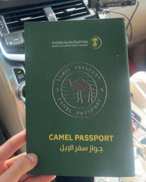 �������� ��� ��������� ����� � ���������� ������