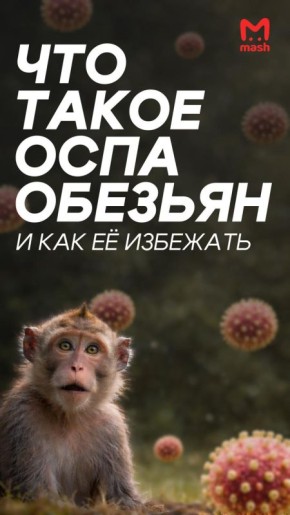 ����� 51 ������ ������� �� ����� ���� �������� �� ���� ������� ����� ������