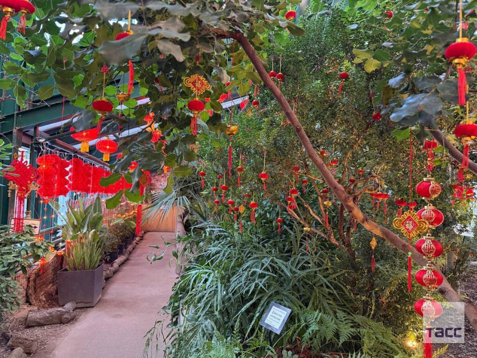 ������������ ������ � ������ �������� � ��������� ���������� ������ ����, �������� ����