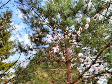 ���� �� �������� 8 � 9 ������