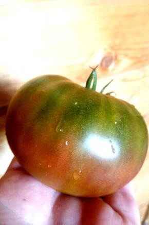 ����� '����� �������': �������� �� ����� �������