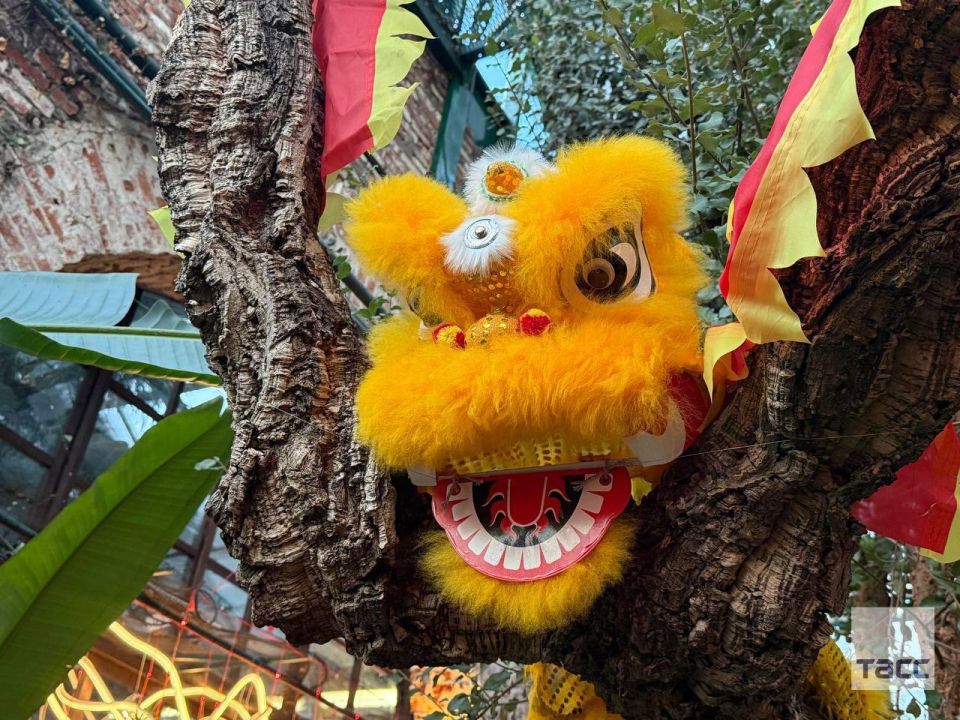 ������������ ������ � ������ �������� � ��������� ���������� ������ ����, �������� ����