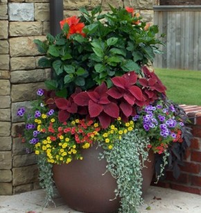 ������ ����������: ��� �������� ��� ��� ������ ������