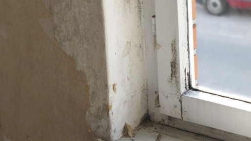 ������� ����� ���� ������ ����� ��������: ����� ��� ��������� ������� � �����