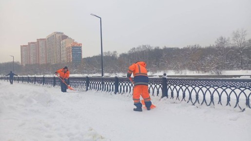 � ������ ���������� ������ ������������ �����������