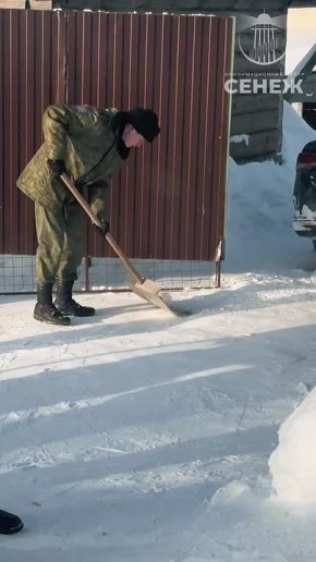 ���������� ���������: ������ ���������� ������������ � ������� �������� �����