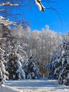 ������ ���� �� �������-��������� �����������