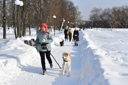 � ����� ���������� ���������� ������ ������ �����, �������������� � ������ ������������ �������� ������ ������������ � ������ ���������