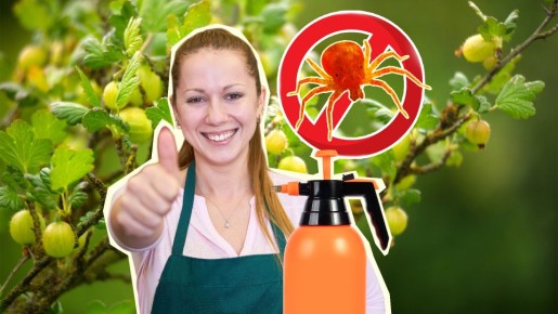 �������� ���������� ����� ������� ������ ���: ������� ���� ������� �����