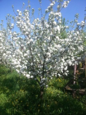 ��� �������� ��� �� �������� ����������: �������� �������� �������� � ������� ��������