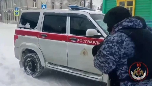 � ����������� ������������ ��������� �������, �������� �� ���������� ���������