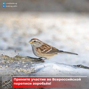 � 7 �� 15 ������� � ������ �������� ��������� ���� ������������� �������� ��������